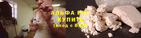 гашик Каменногорск