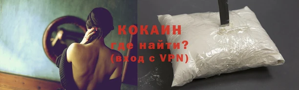 гашик Каменногорск