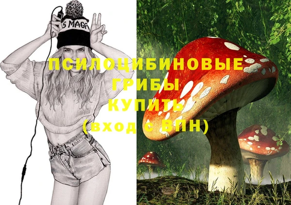 альфа пвп Каменск-Шахтинский