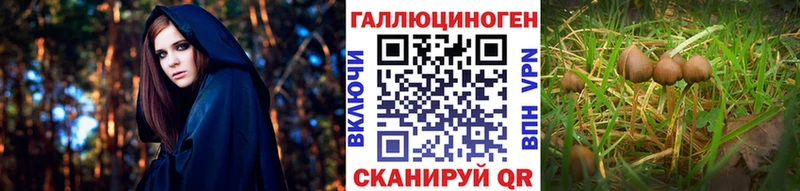 Галлюциногенные грибы мицелий  Купить  Семёнов 